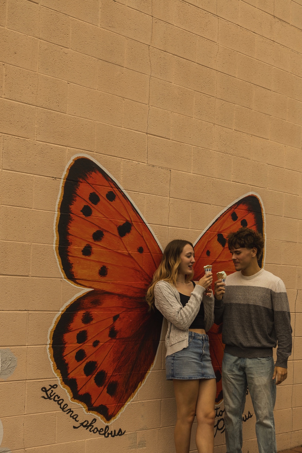 Butterfly wings and ice cream cones.